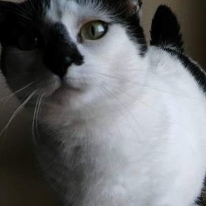 Meet your Posher, Mya